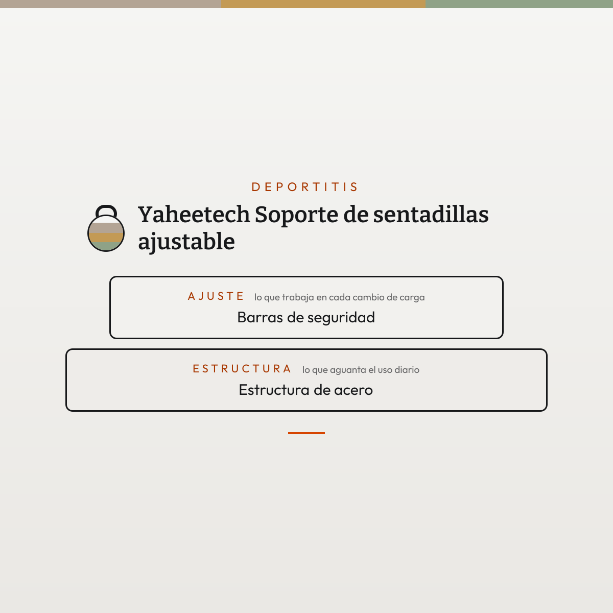 Desglose de componentes de Soporte de sentadillas ajustable — contacto, ajuste y estructura