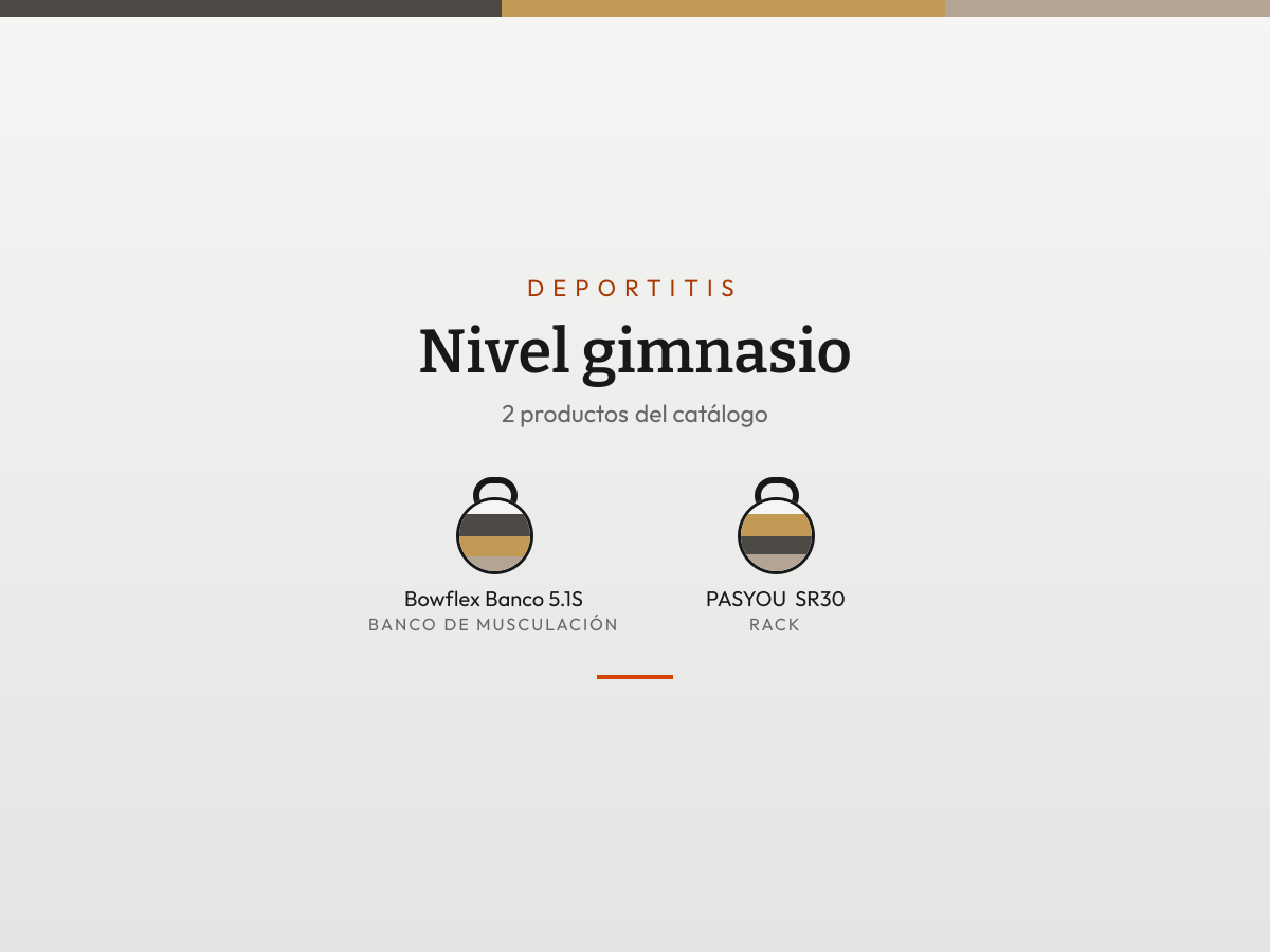 Mosaico de Nivel gimnasio: sus productos en fichas de color